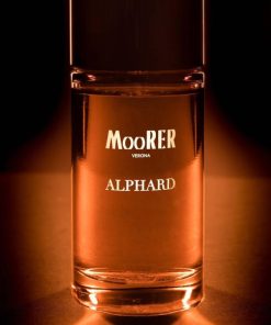 Michellezirkind.shop0cf34d37bc 1