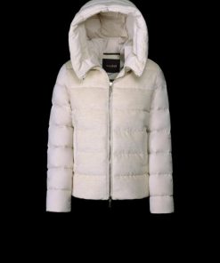 Michellezirkind.shop6481966d3d 2