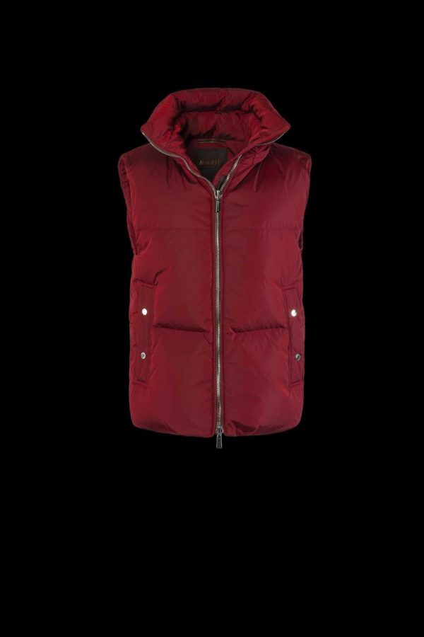 Michellezirkind.shopf5fab26e54 1